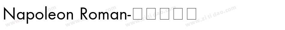 Napoleon Roman字体转换